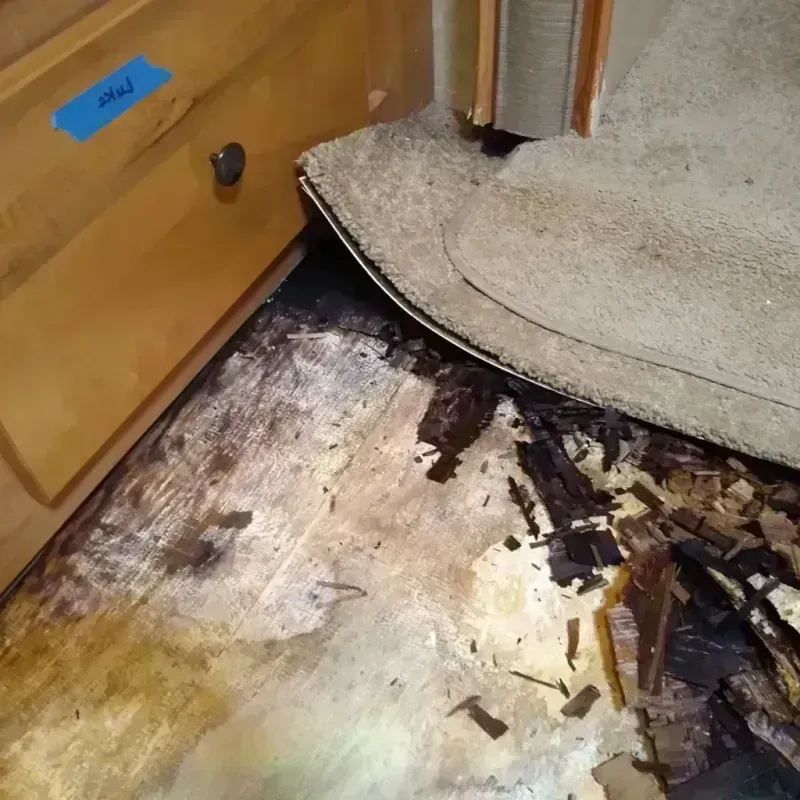 Wood Floor Water Damage in Morton County, ND